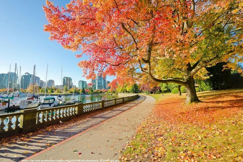 بيت ضيافة فندق Van West Serene Retreat Close To Ubc And Downtown فانكوفر كندا